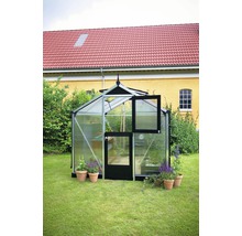 Gewächshaus mit geöffneter Tür und Fenster im Garten