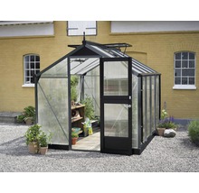 Serre JULIANA Compact 6,6 m² plaque alvéolaire double paroi 10 mm 224 x 296 cm anthracite/noir