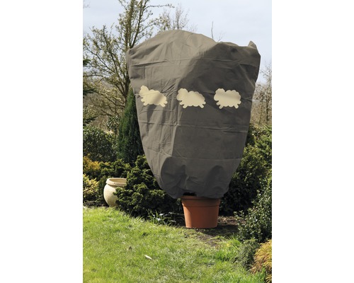 Pflanze im Topf mit Winterschutzhaube im Garten.
