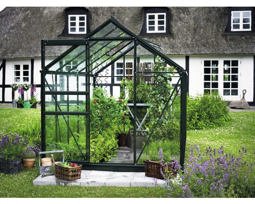 Serre de jardin avec plantes et accessoires de jardinage.