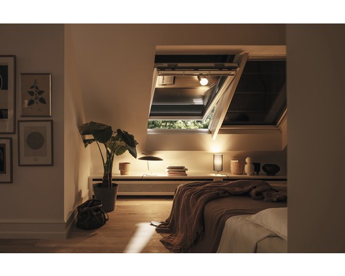 Chambre confortable avec fenêtres de toit pour lumière naturelle et ventilation.
