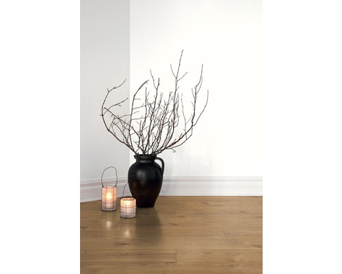 Branches décoratives dans un vase, à côté de deux lanternes sur un sol stratifié.