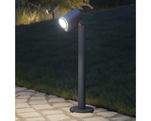 Jardin avec borne d''éclairage pour éclairer les chemins et les plantes