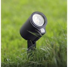 Spot de jardin à capteur LED Steinel 7,9 W 512 lm 3000 K blanc chaud h 369 mm Spot Garden SC anthracite réglable via Bluetooth et appli