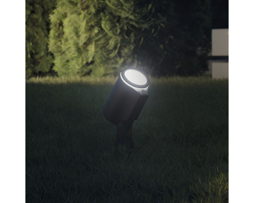 Projecteur de jardin pour éclairage de pelouse