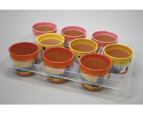 Huit pots de fleurs peints sur un plateau en plastique transparent.
