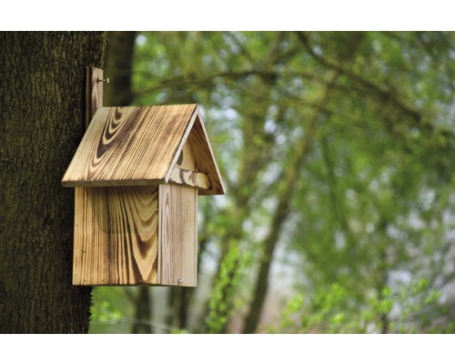 Nid en bois fixé sur un tronc d''arbre