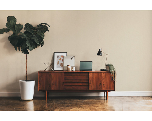 Wohnzimmer mit Sideboard, Tischleuchte, Zimmerpflanze und Dekoration