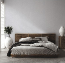 Chambre avec lit, tête de lit en bois, plante et vase