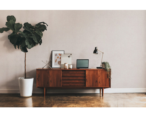 Wohnzimmer mit Kommode, Zimmerpflanze und Dekorationsgegenständen