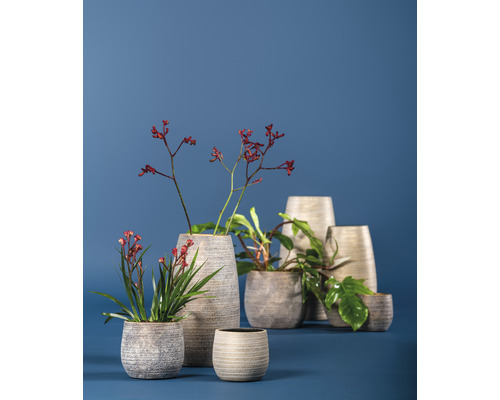 Divers pots de fleurs en grès avec plantes et branches