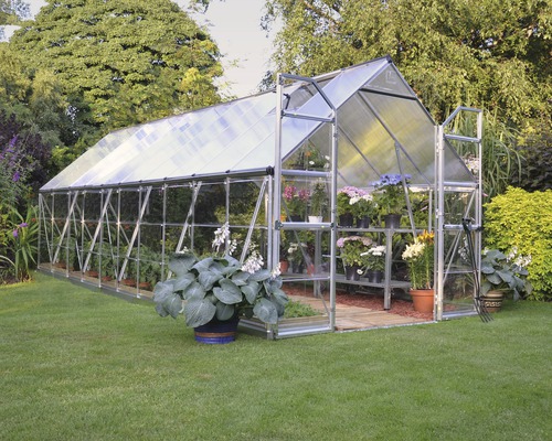 Serre Palram – Canopia Balance 8x20 244 x 607 cm argent Serre avec des plantes dans le jardin.