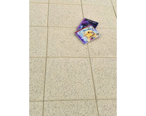 Zwei Bücher mit Kunstmotiven liegen auf Fliesen.