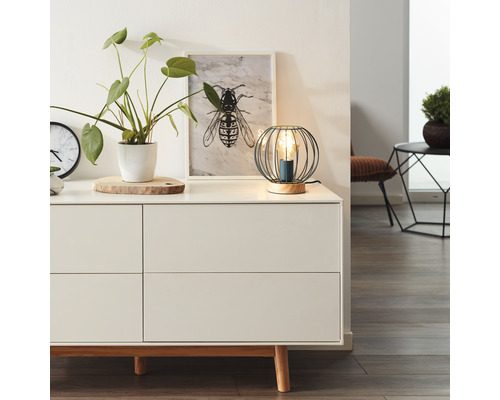 Dekorative Tischleuchte auf einer Kommode mit Pflanze und Bild