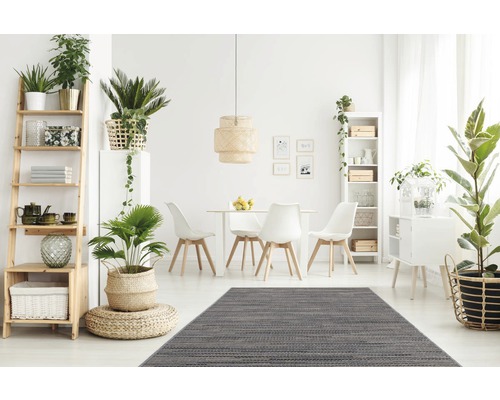 Heller Essbereich mit Esstisch, Stühlen, Teppich und dekorativen Zimmerpflanzen auf Regalen und Schränken.