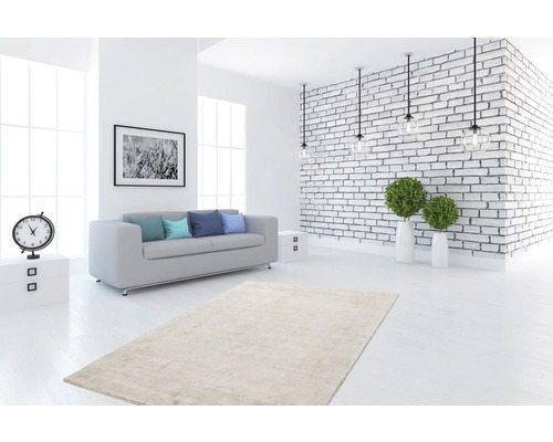 Salon lumineux avec tapis, canapé, décoration et mur de briques blanches