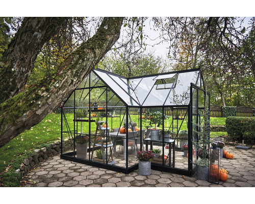 Gewächshaus im Garten mit Pflanzen und Dekoration