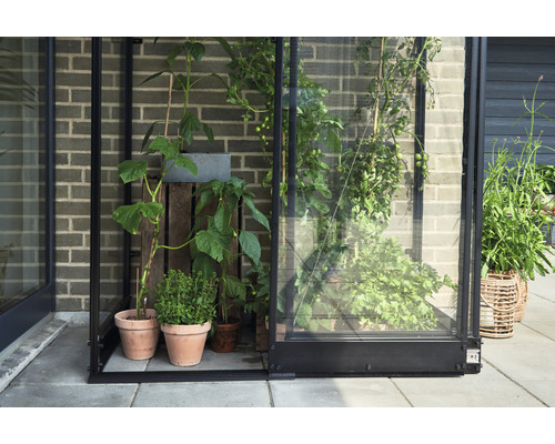 Serre avec plantes en pots et en caisses