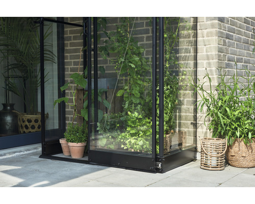 Serre avec plantes dans le jardin