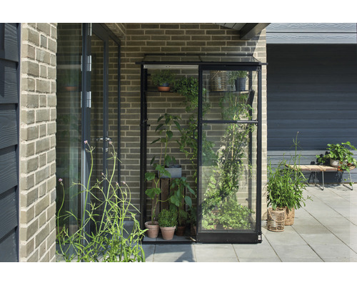Serre avec plantes sur une terrasse