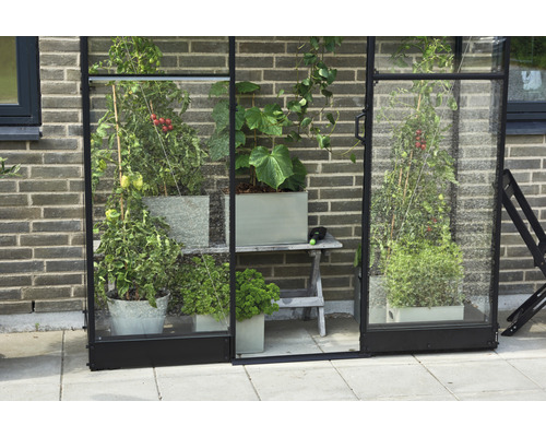 Serre avec des plantes en pot