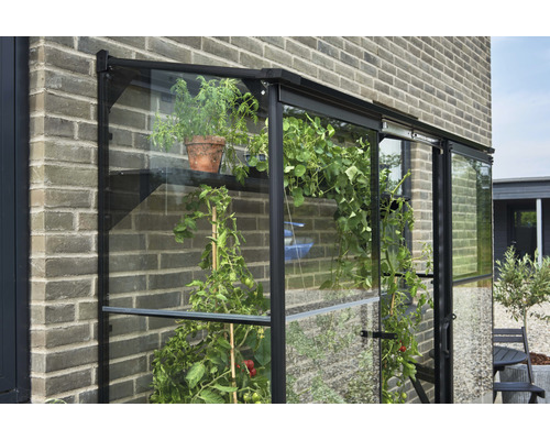 Serre adossée avec plantes sur un mur de briques