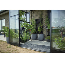 Gewächshaus mit Pflanzen in Töpfen und Pflanzregalen auf der Terrasse