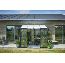Gewächshaus aus Glas und Aluminium mit Pflanzen vor einem Haus