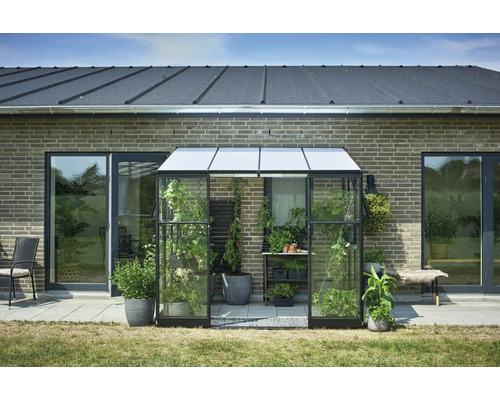 Gewächshaus aus Glas und Aluminium mit Pflanzen vor einem Haus