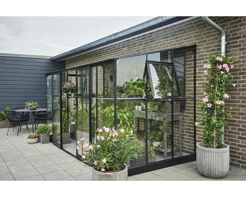 Serre avec plantes sur une terrasse à côté d''une maison.