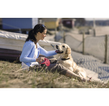 Laisse pour chiens flexi Comfort sangle Taille S jusqu'à 15 kg 5 m rouge