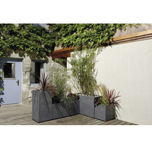 Drei groe Steengoed-Planzkëschte mat Bepflanzung am Aussenberäich.