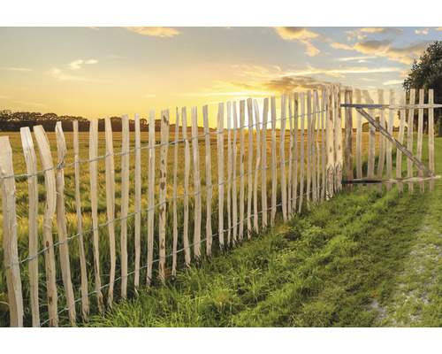 Holzzaun mit Tor im Feld bei Sonnenuntergang