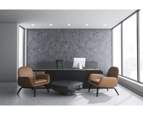 Bureau avec bureau, chaise de bureau et fauteuils