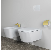 Salle de bains avec WC suspendu, bidet, plaque de commande et porte-papier toilette