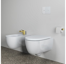 WC suspendu et bidet avec robinetterie dorée dans une salle de bain moderne.