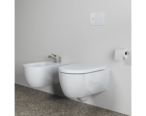 Wandhängendes WC und Bidet im Badezimmer mit Toilettenpapierhalter und Betätigungsplatte.