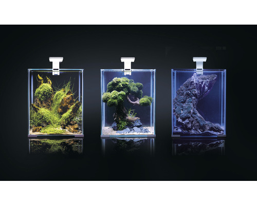 Drei dekorierte Aquarien mit Beleuchtung