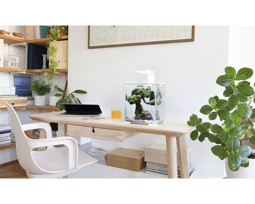 Arbeitszimmer mit Schreibtisch, Stuhl und Aquarium mit Beleuchtung