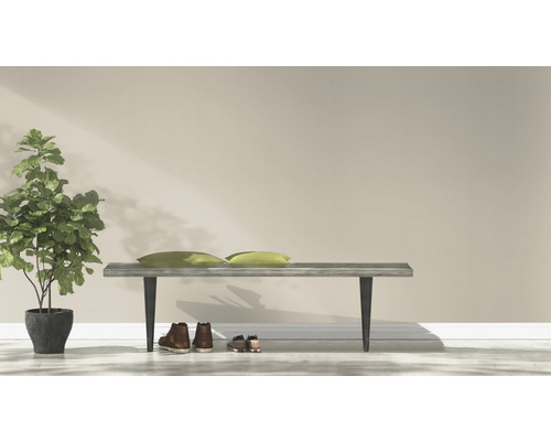 Aménagement intérieur clair avec banc, coussins, plante en pot et chaussures.