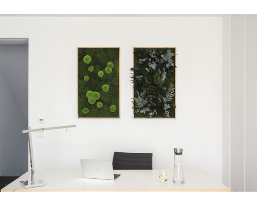 Büro mit Schreibtisch, Laptop und zwei Wandbildern mit Moos und Pflanzen