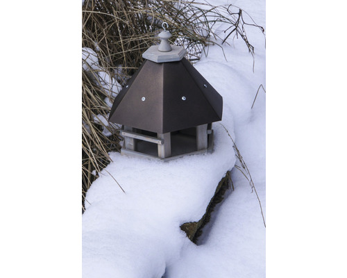 Maison pour oiseaux sur une surface enneigée