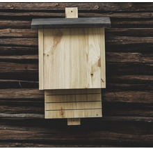 Nichoir à chauves-souris en bois sur un mur en bois