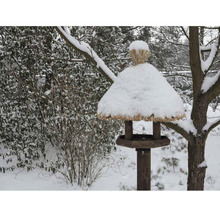 Mangeoire à oiseaux avec neige dans un jardin d''hiver