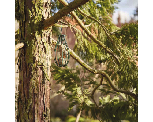 Maison pour oiseaux avec boules de graisse suspendue à un arbre