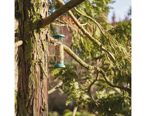 Mangeoire à oiseaux avec de la nourriture suspendue à un arbre