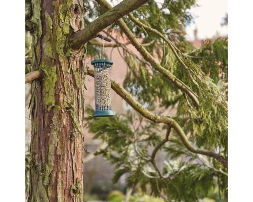 Mangeoire à oiseaux avec nourriture suspendue à un arbre