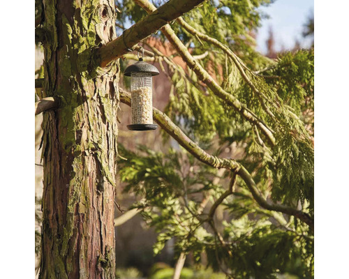 Mangeoire à oiseaux avec nourriture, suspendue à un arbre