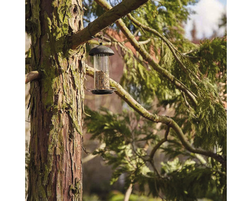 Ein Vogelhaus hängt an einem Baum gefüllt mit Vogelfutter.