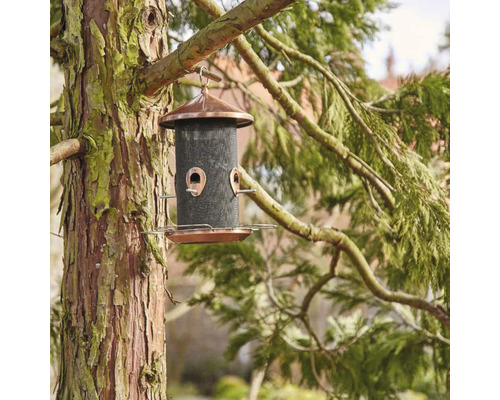 Mangeoire à oiseaux en métal suspendue à un arbre